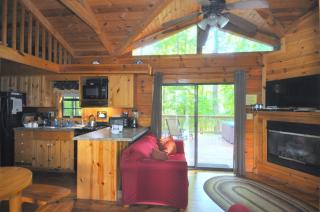 Sleepy Creek - Hot Tub, Pet Friendly, Creekside, Grill, Wifi, Fire Pit, Deck, Screen Porch, Family Friendly, Fishing, View, Games - Berkeley Springs - 4