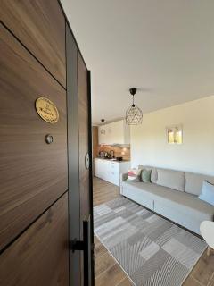 Apartmani Živković - Veliko Gradište - 0