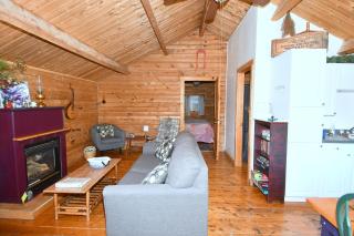 Whispering Hills -- Pet Friendly - Hot Tub - Grill - Wifi - Fire Pit - Covered Porch - Screen Porch - Fireplace - View - Billiard Table - Game room - Hedgesville - 3
