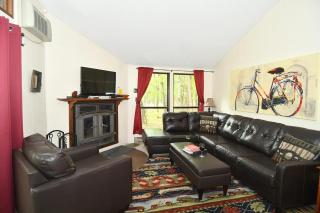 Woods Song -- Hot Tub - Pet Friendly - Wifi - King Bed - Woods Resort - Golf Nearby - Pool Pass - Spa - Grill - Fireplace - 4