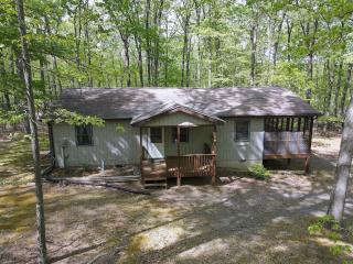 Namba Cabin -- Pet Friendly, River Access, Grill, Wifi, Deck, Screen Porch, Family Friendly - Morton Grove - 0