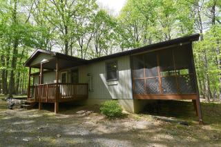 Namba Cabin -- Pet Friendly, River Access, Grill, Wifi, Deck, Screen Porch, Family Friendly - Morton Grove - 8
