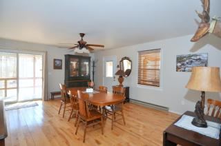 Bear Necessities -Forget your Worries! - 4