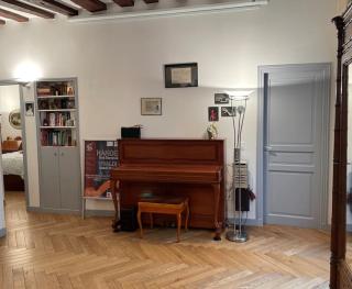 Beautiful flat Seine River-Saint Michel/Notre-Dame - 3