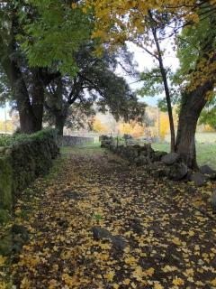 La Cabanya del Mas Casamitjana - Olot - 2