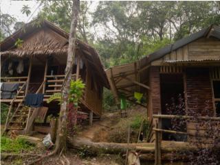 Room in Bungalow - Holiday rental in Sumatra - Bukit Lawang - 0