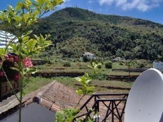 Ferienwohnung für 2 Personen ca 50 m in Icod de los Vinos, Teneriffa Nordküste von Teneriffa - Icod de los Vinos - 2