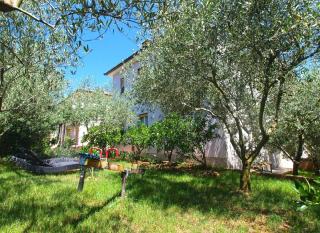 Studio für 5 Personen ca 70 qm in Pula, Istrien Istrische Riviera - b60875 - Pula - 6