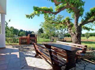 Studio für 2 Personen ca 30 qm in Fažana, Istrien Istrische Riviera - b60935 - Fažana - 3