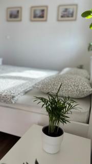TRIO apartment - Piešťany - 8