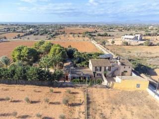 Villa mit privatem Pool - Ses Salines - 5