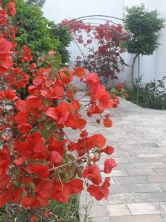 Villetta Ibiscus - 3