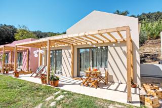 Kumquart estate- Mandarin - 6