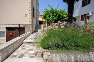 Ferienwohnung für 4 Personen ca 50 m in Novigrad, Istrien Istrische Riviera - b44486 - Karpinjan - 9