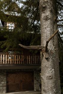 Artist's House - Falsztyn - 4