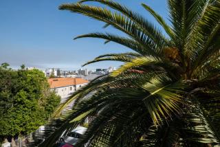 Timeless Sea Point Retreat Walk to Restaurants - Cidade Do Cabo - 3