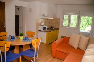 Apartman Mina 2 - Vrdnik - 4