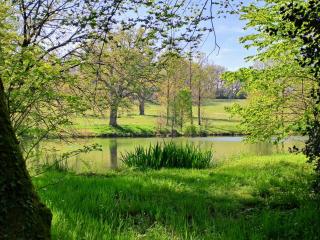 Domaine des Roches Blanches - 1
