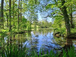 Domaine des Roches Blanches - 2