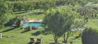 Le Mas des Cerisiers JACUZZI et SAUNA inclus pour tous les logements - Avignon - 7