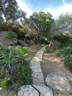 appartement 60 m2 climatisé 2 adultes max et 2 enfants piscine partagée - Porto-Vecchio - 7