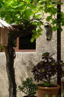 LA SUITE - Maison M Fabre - Saint-Rémy-de-Provence - 2
