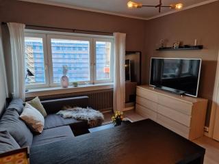 Private Apartment in Oslo - Oslo - 0
