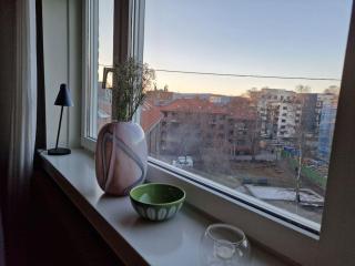 Private Apartment in Oslo - Oslo - 7