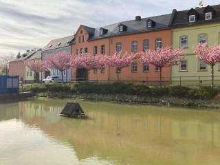 Pension und Ferienwohnung am Teich - Schleiz - 6