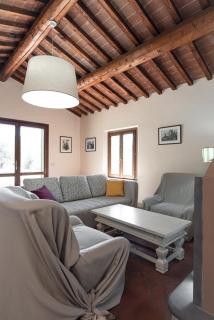 Bolgheri Countryhouse - Bolgheri - 1