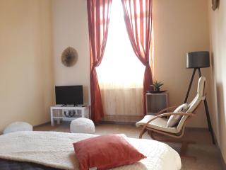 Three Rivers Apartments - private free parking, self check-in - 3