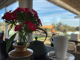 Studio für 1 Personen 1 Kind ca 44 qm in Pantelleria, Sizilien Provinz Trapani - b55679 - Pantelleria - 6