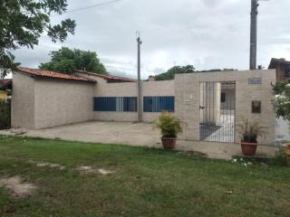 Sonho dos golfinhos - 5