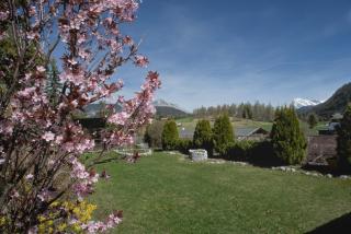 Haus Tannengrün - Seefeld in Tirol - 7