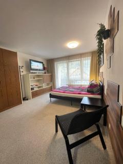 Bad Wildbad. Appartement 2.3 in ruhige Lage. - 9