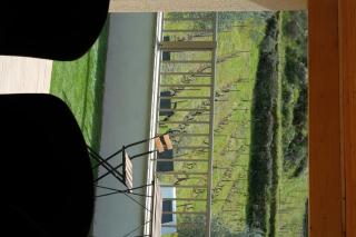 Quinta de Gandarem - Torre de Moncorvo - 2