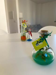 Casa Elogi - 3
