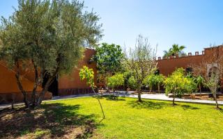 Riad Citronnelle - Marrakesh - 5