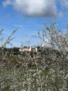 Maison Ray Sur Saône - Ray-sur-Saône - 0