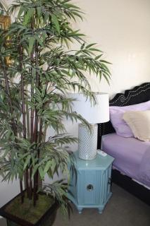 Charming Central Amarillo Retreat with a Jacuzzi - 3