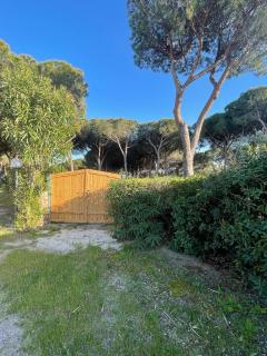 Villa Marghe - Budoni - 5