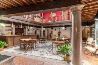 El Secreto del Olivo - Nigüelas - 0