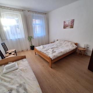 Dora - Sremski Karlovci - 4