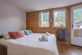 Appartement "chalet" avec parking, vue imprenable - Chamonix - 3