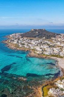 Dar sammoud S+1 - Kelibia - 0