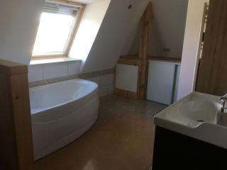 Gîte calme avec terrasse privative proche de Nancy - FR-1-584-103 - 7