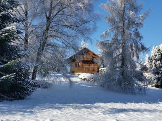 Chalet confort en montagne, près des thermes et circuits de rando, idéal pour famille - FR-1-589-135 - 9