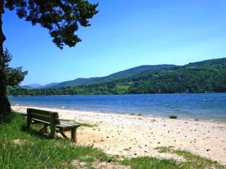 Gîte de charme avec terrasse, proche sports d'hiver, animaux admis - FR-1-582-26 - 1