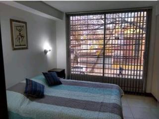Excelente departamento dos ambientes - Mendoza - 4