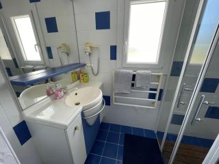 Maison climatisée, 2 gîtes, 2 chambres, 15 hectares, loisirs, animaux acceptés - FR-1-426-520 - Bouin - 4